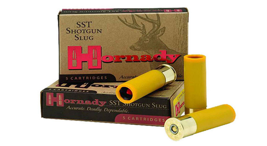 20 Gauge Ammo