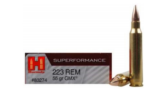 223 Ammo