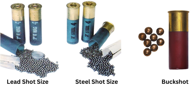 Shotgun Shells Explained - Types Of Ammo (Birdshot, Buckshot, Slugs)